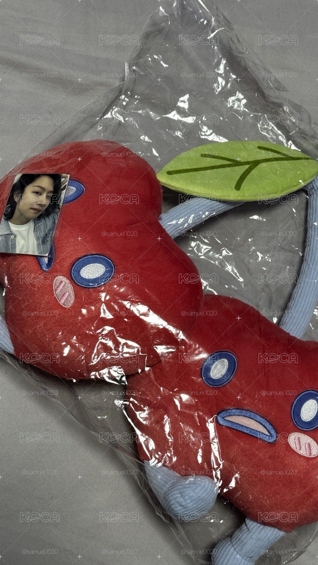 SJ MARKET 希澈 櫻桃抱枕（含卡）