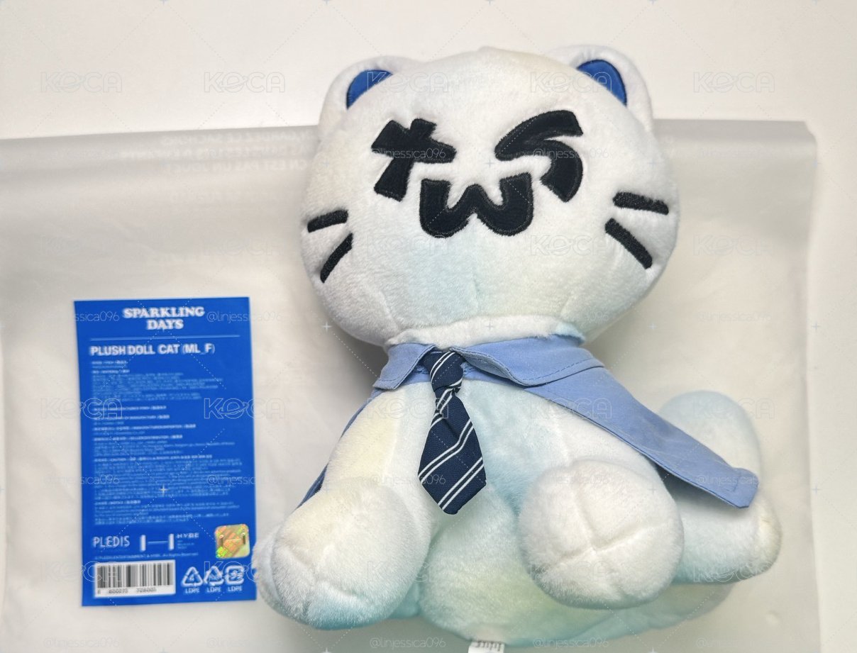 開除一隻吐司貓員工