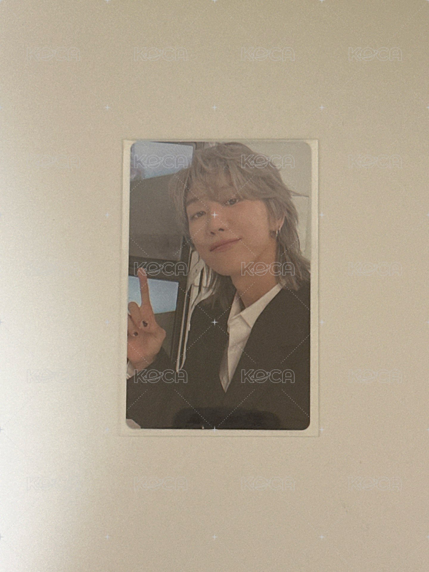 精選專wvs特典
