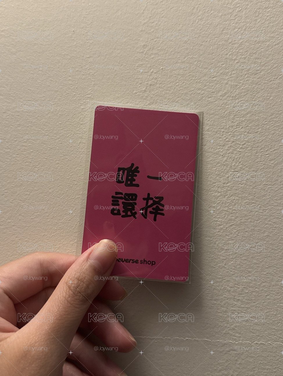 賢馬卡龍中背