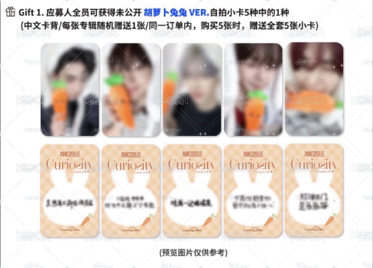 數星星3.0 紅蘿蔔兔兔 金奎彬 一卡一專