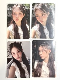 神女公主貓組