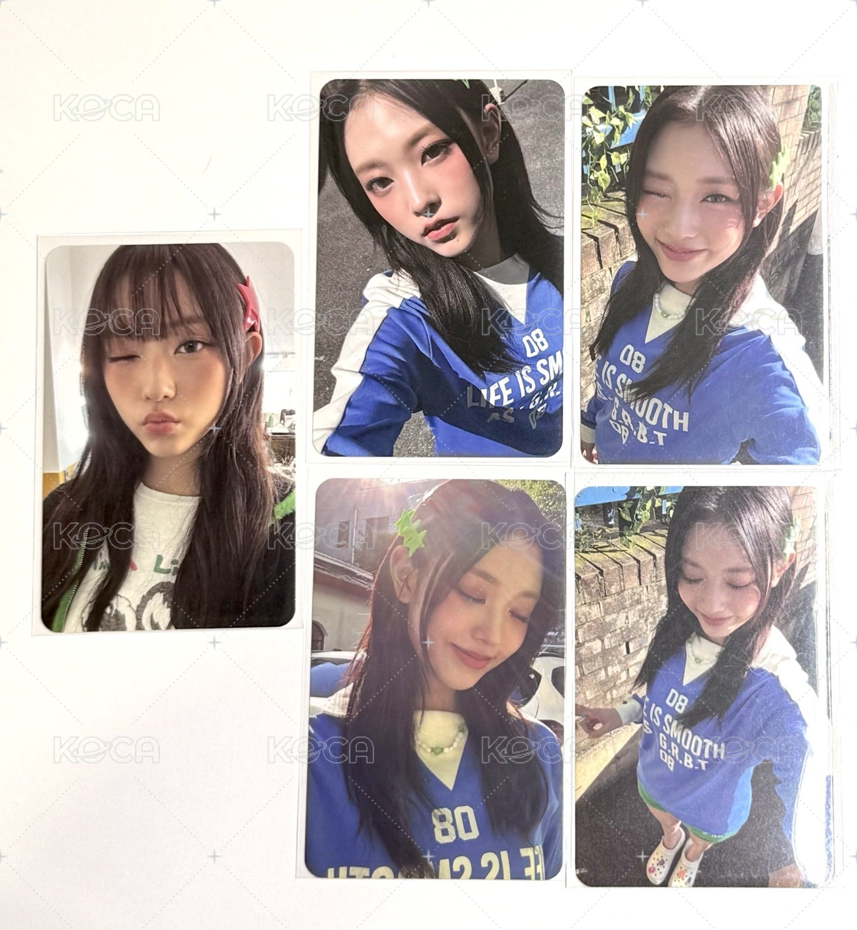 藍衣陽光貓組