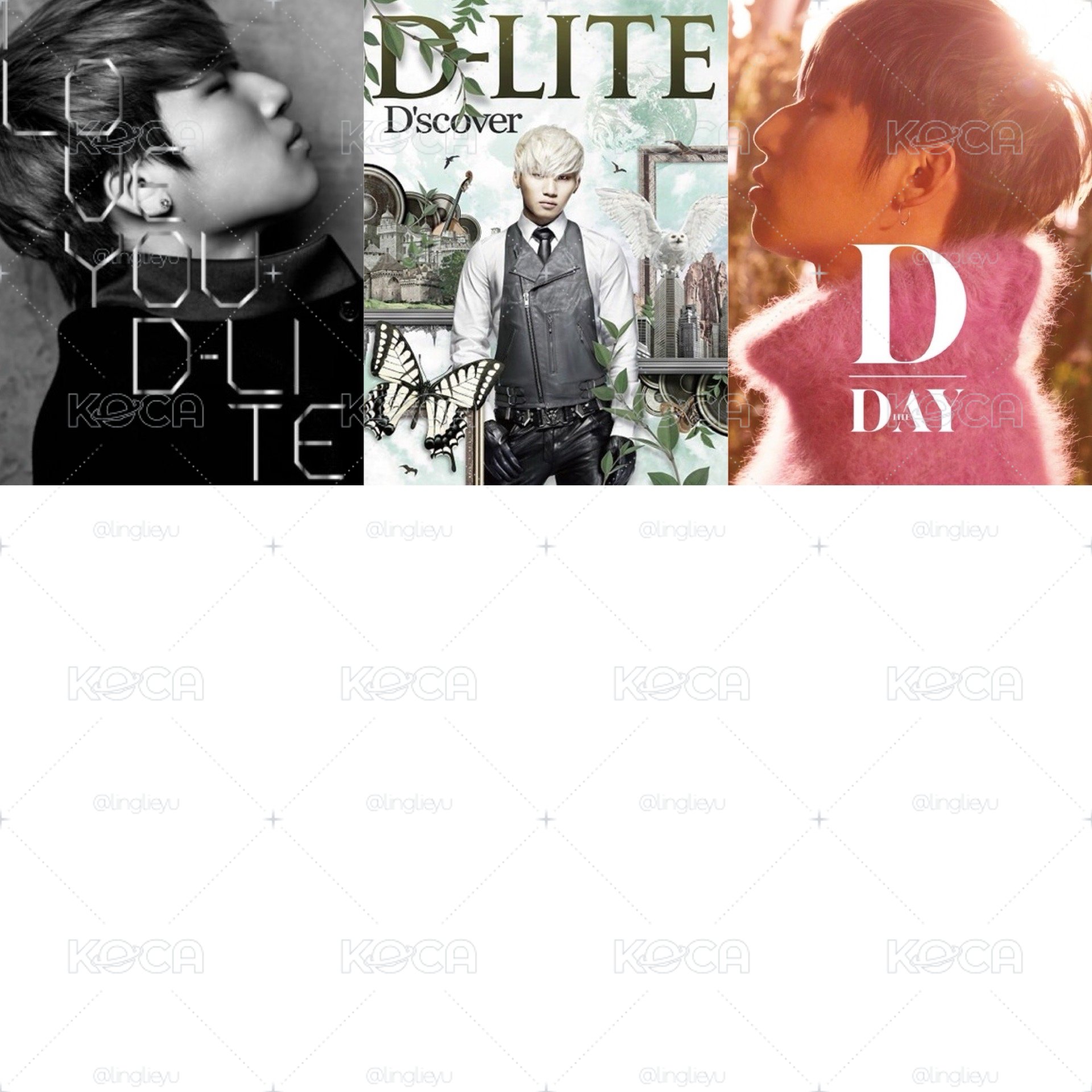 D-LITE ALBUM