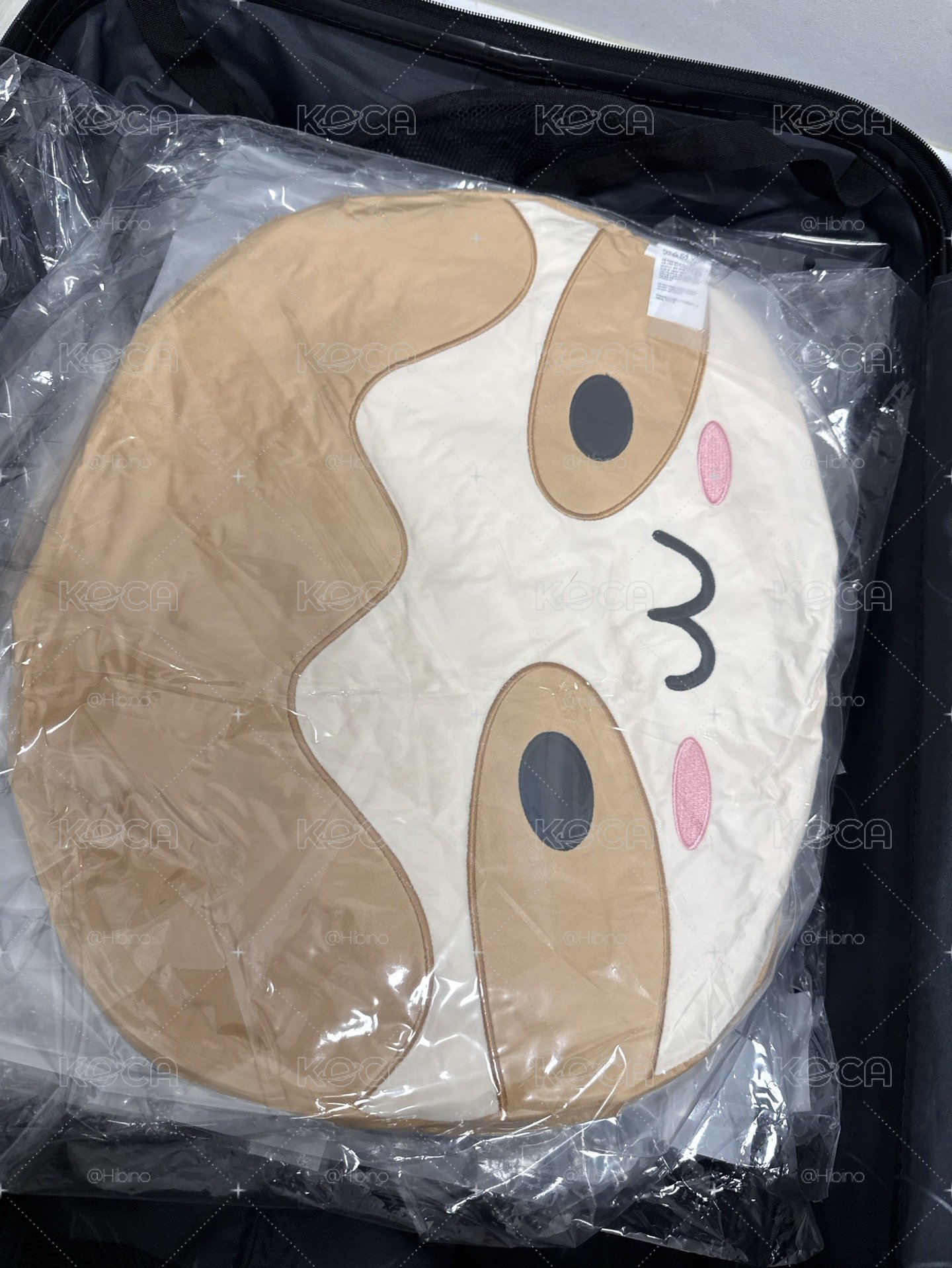 露露抱枕（確定有貨