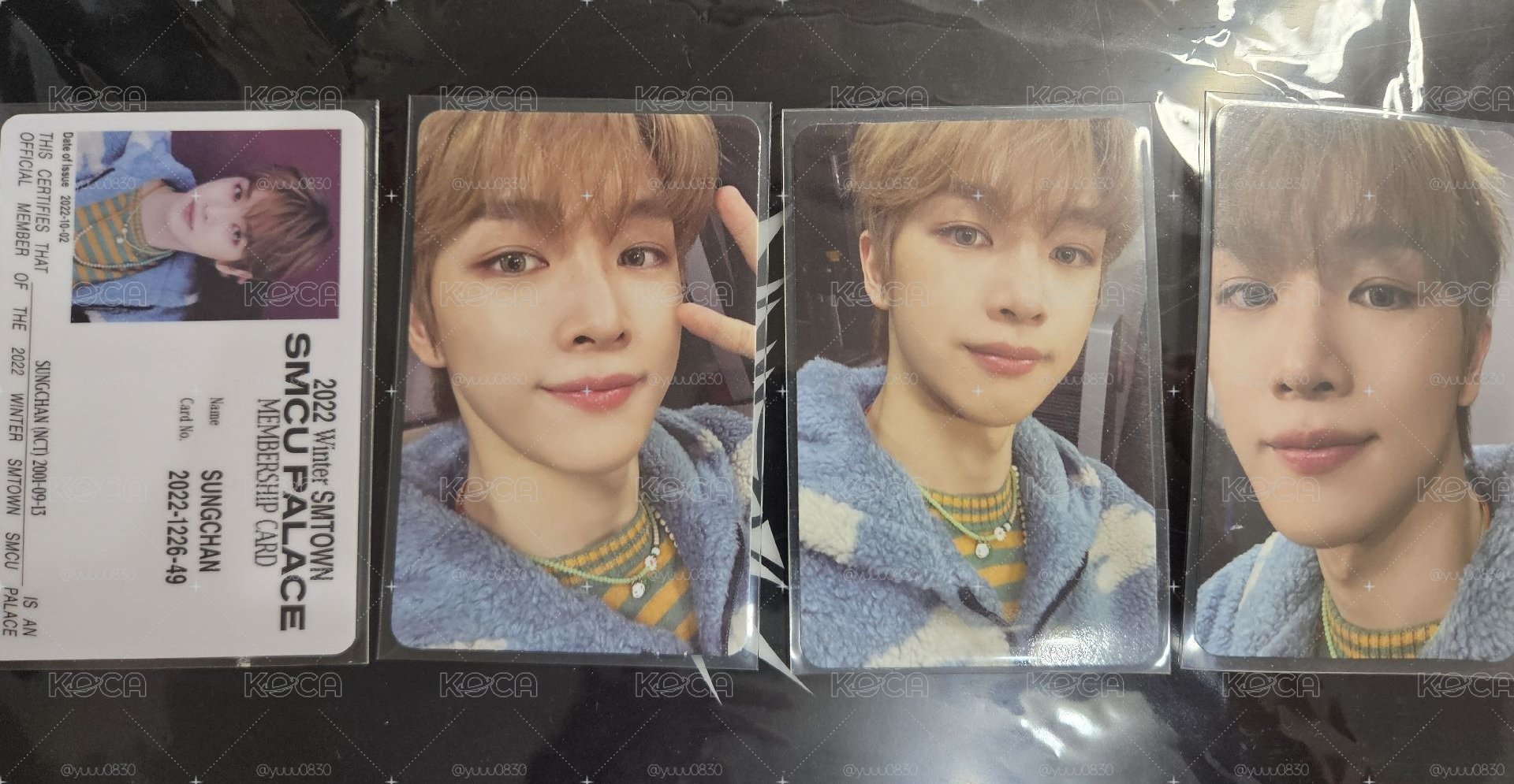 成燦 NCT時期家族冬專小卡