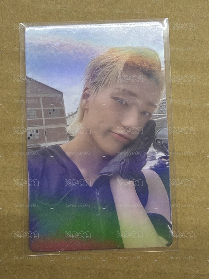 可愛的萌貓