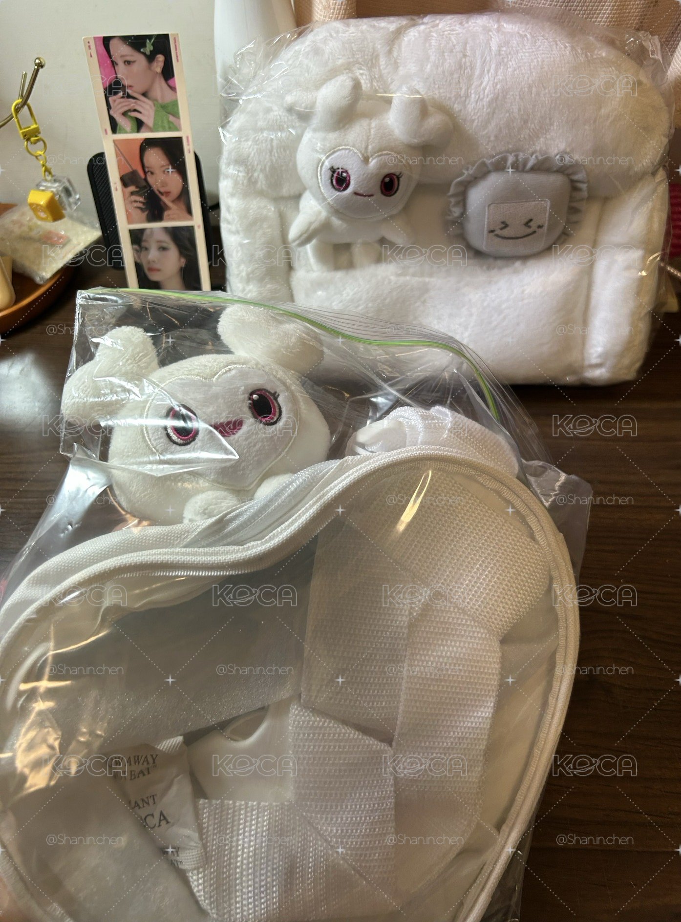 全新小盤豆！豆腐坐沙發🛋️