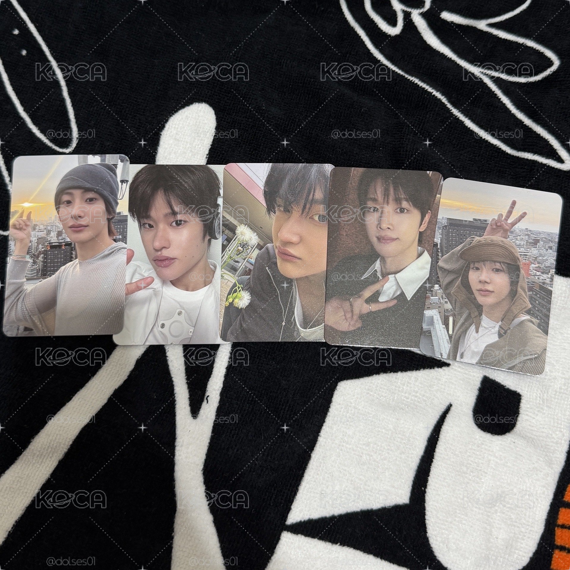 sp 照片set