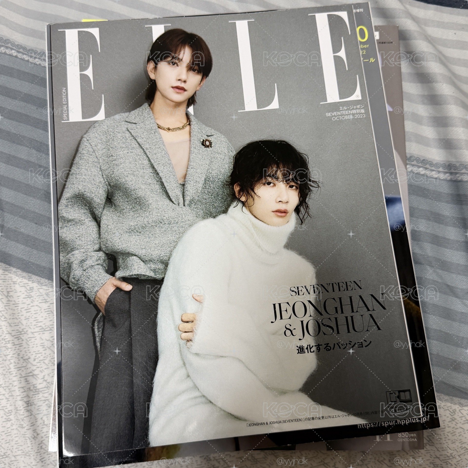 知漢雙人雜誌