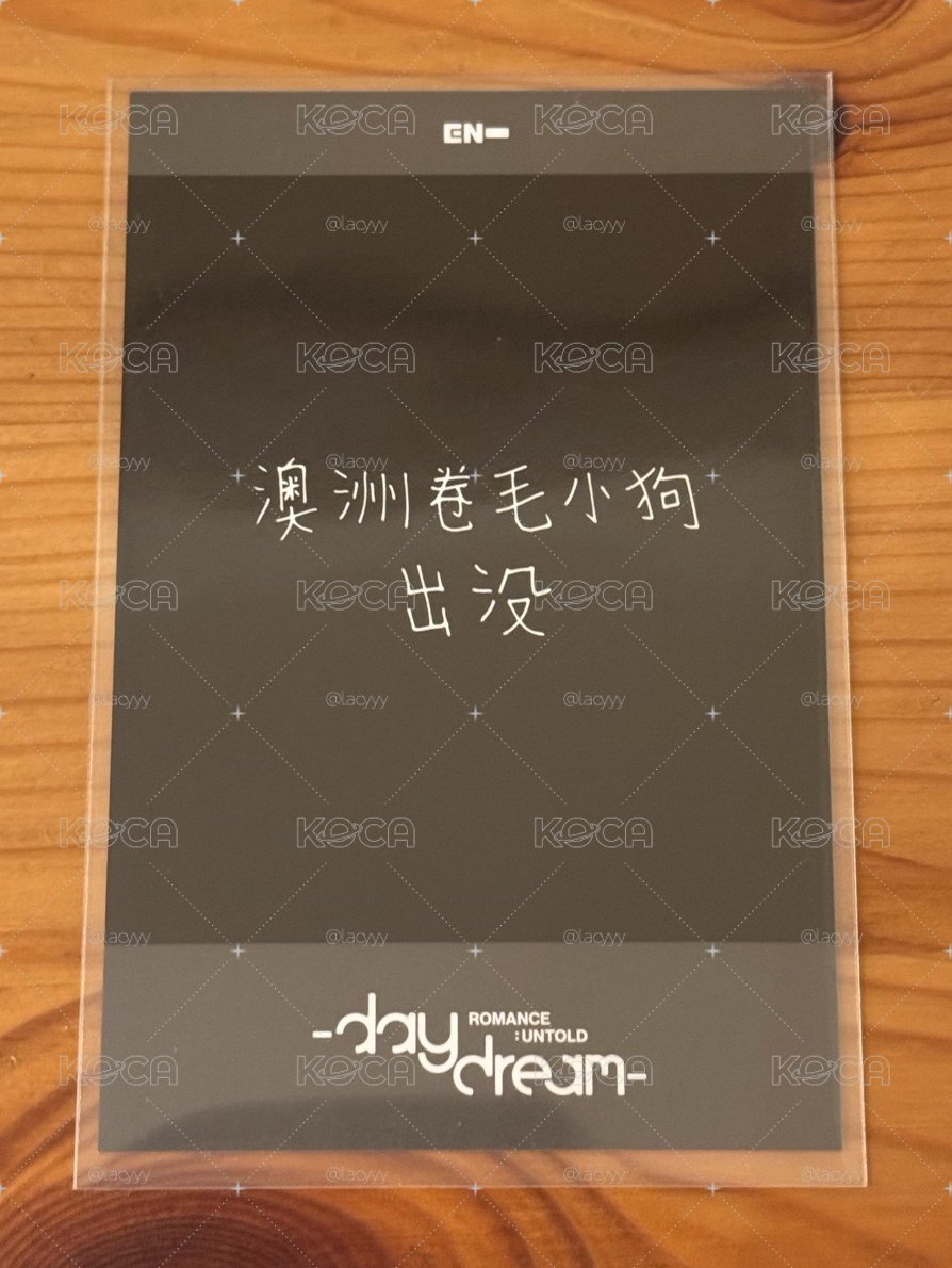 Jake復刻拍立得🐕澳洲卷毛小狗出沒