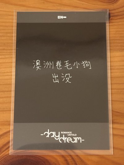 Jake復刻拍立得🐕澳洲卷毛小狗出沒