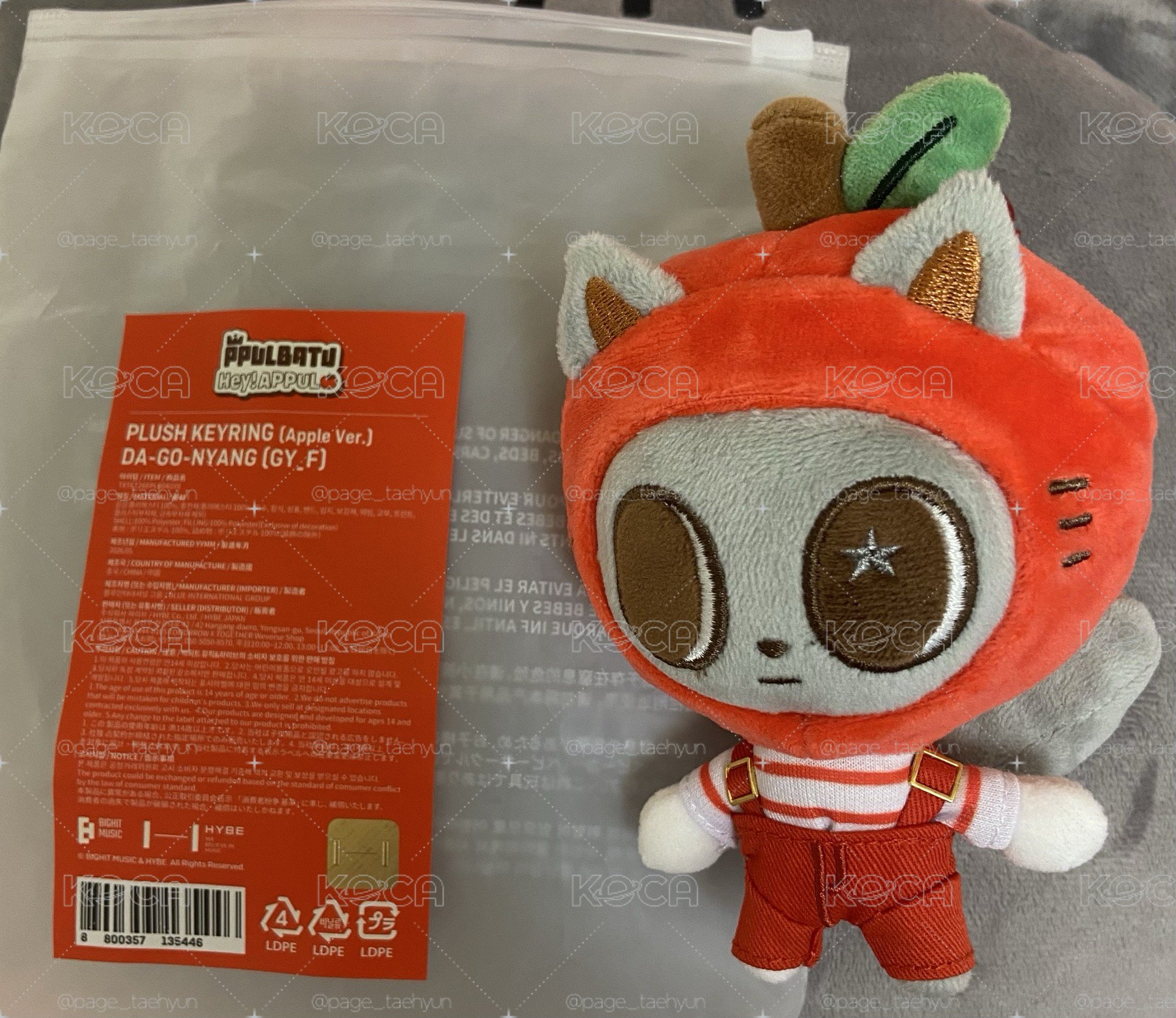 蘋狗喵 頭很圓的一隻喵 快帶我回家