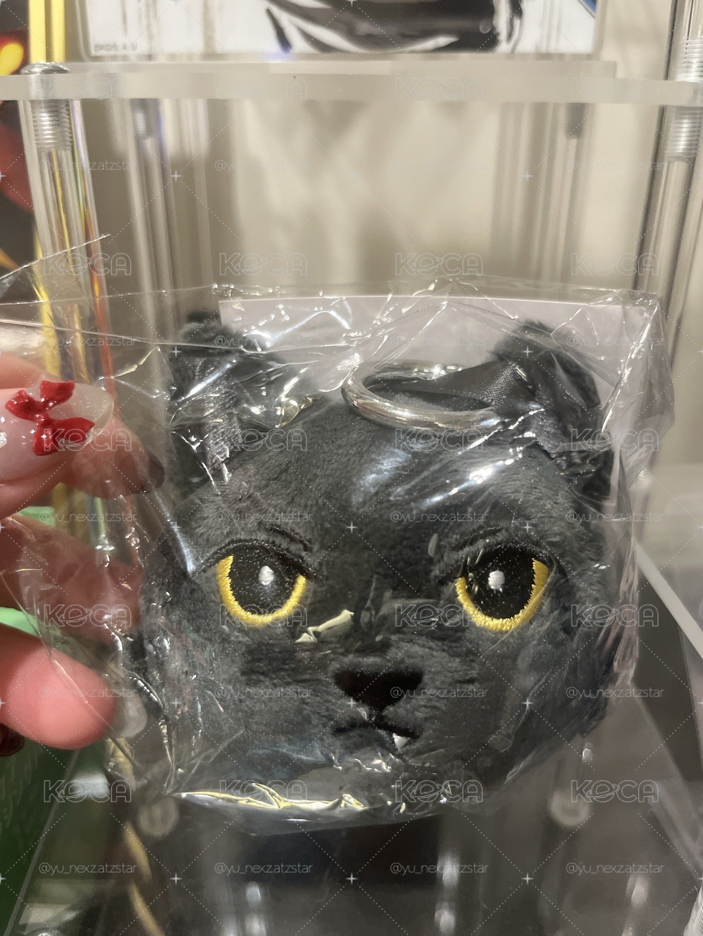 悠🐈‍⬛大頭娃