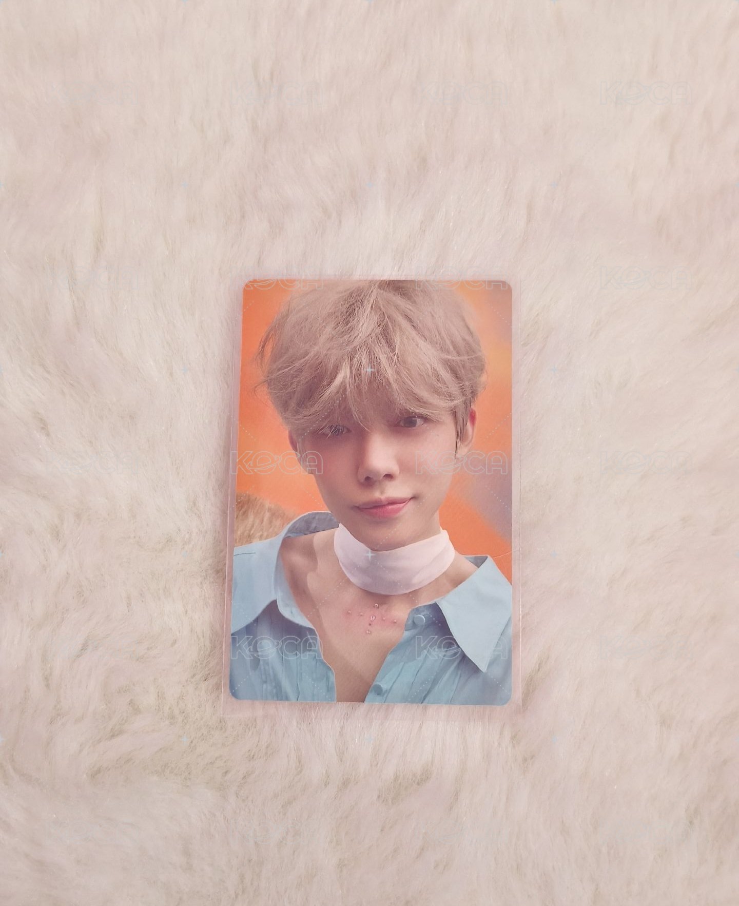 小狐狸竣