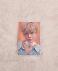 小狐狸竣