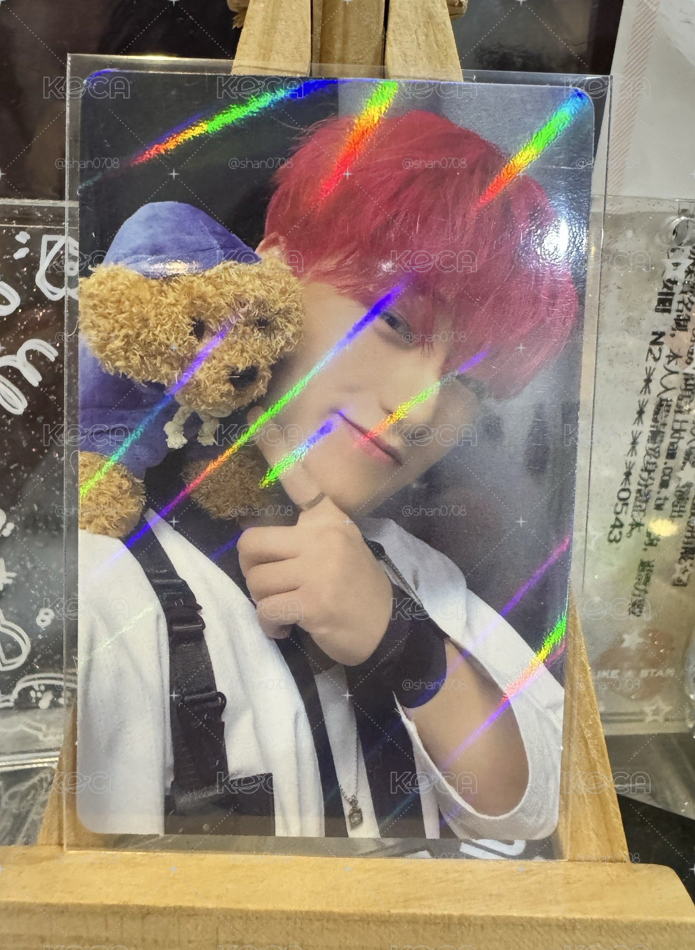 傘美通狗狗