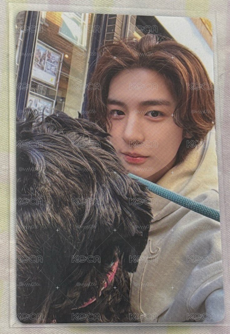 李涵狗狗卡