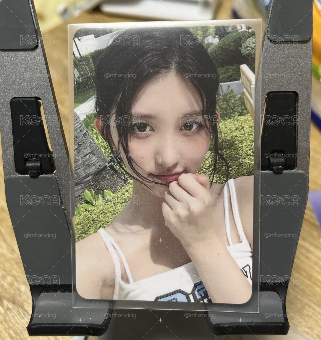 船特秋