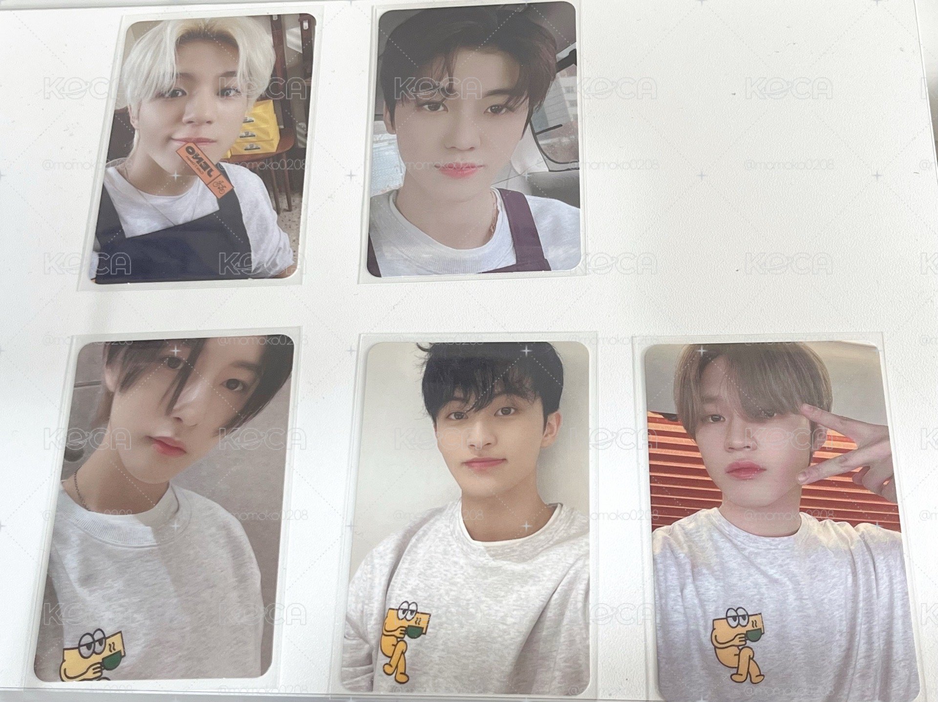 NCT DREAM｜Hot Sauce 專輯咖啡卡🐯🦊🐶🐰🐬