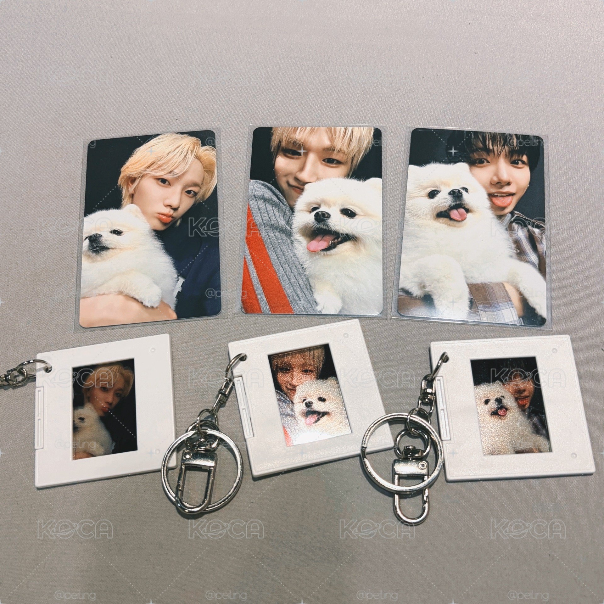 《HOME》WVS PB