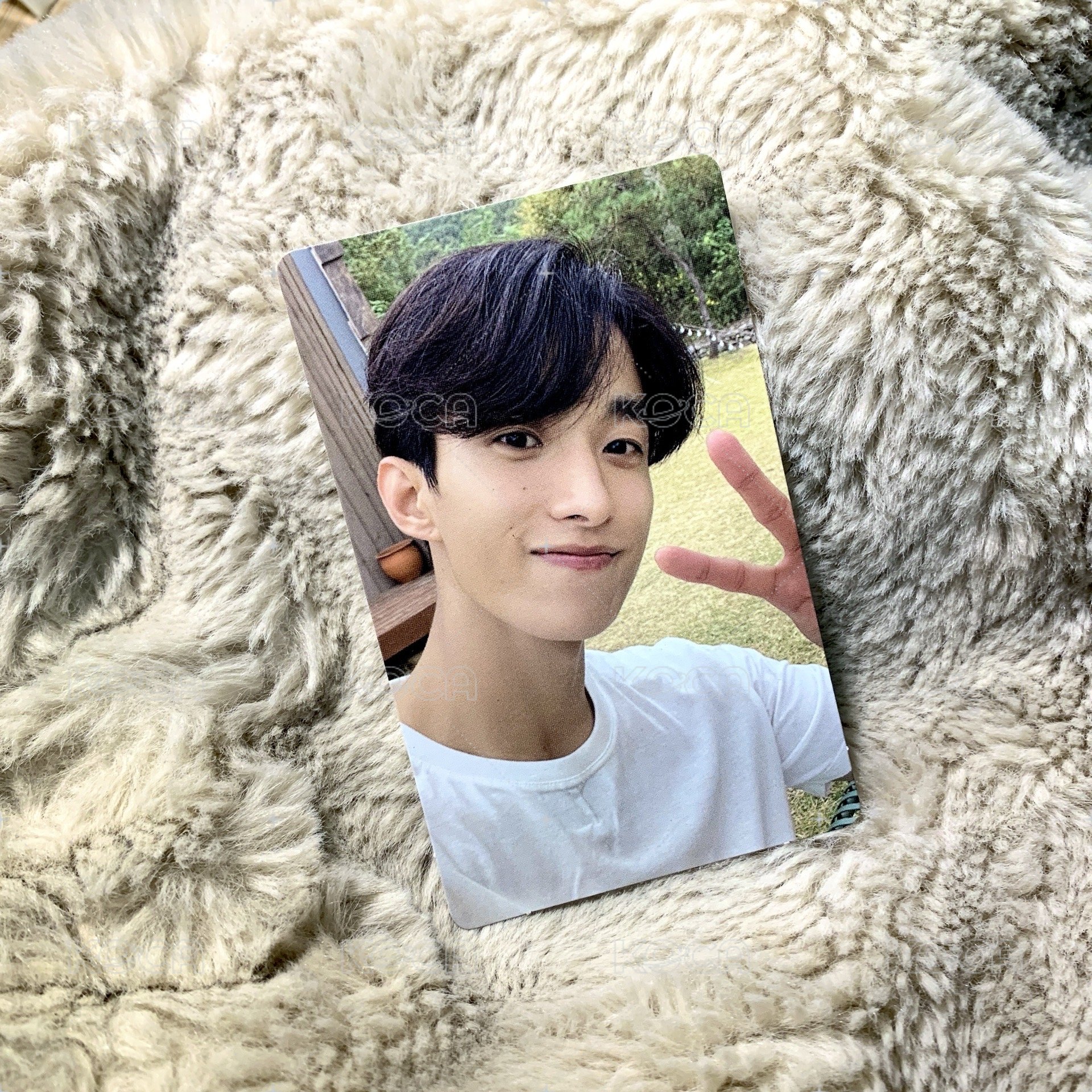 素顏小狗