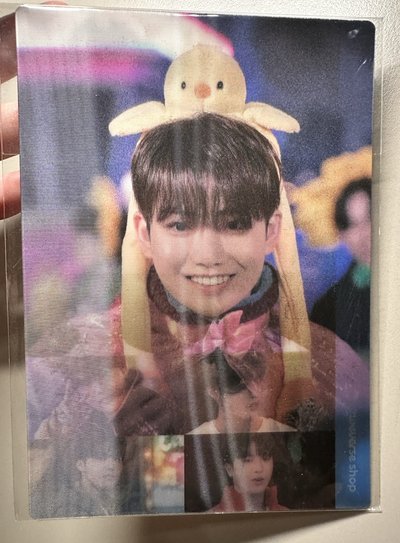 🐨 2022 冬日收藏盒 wvs特典 3D變化大卡
