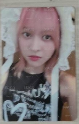 莉卡