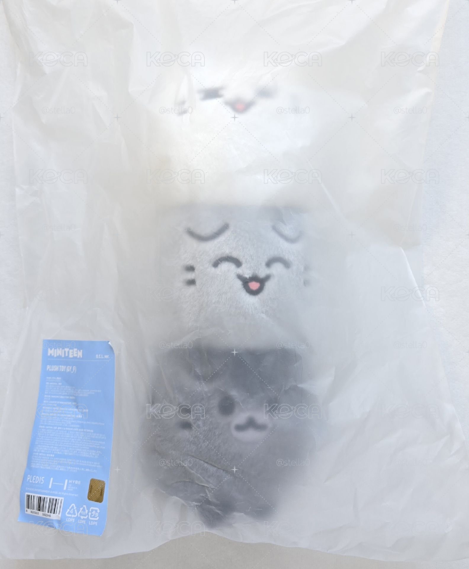 俊 大娃 全新現貨