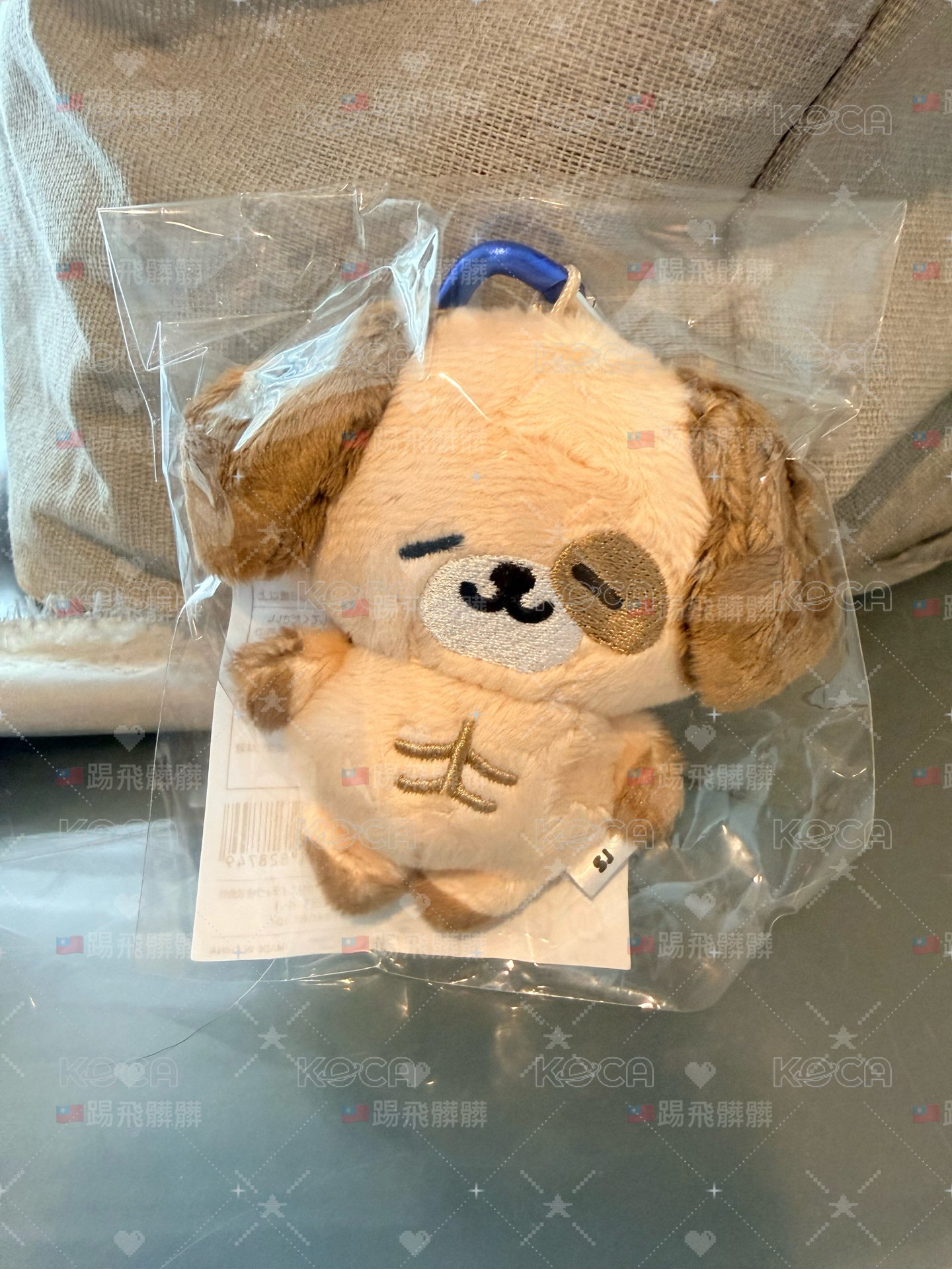 東海狗狗