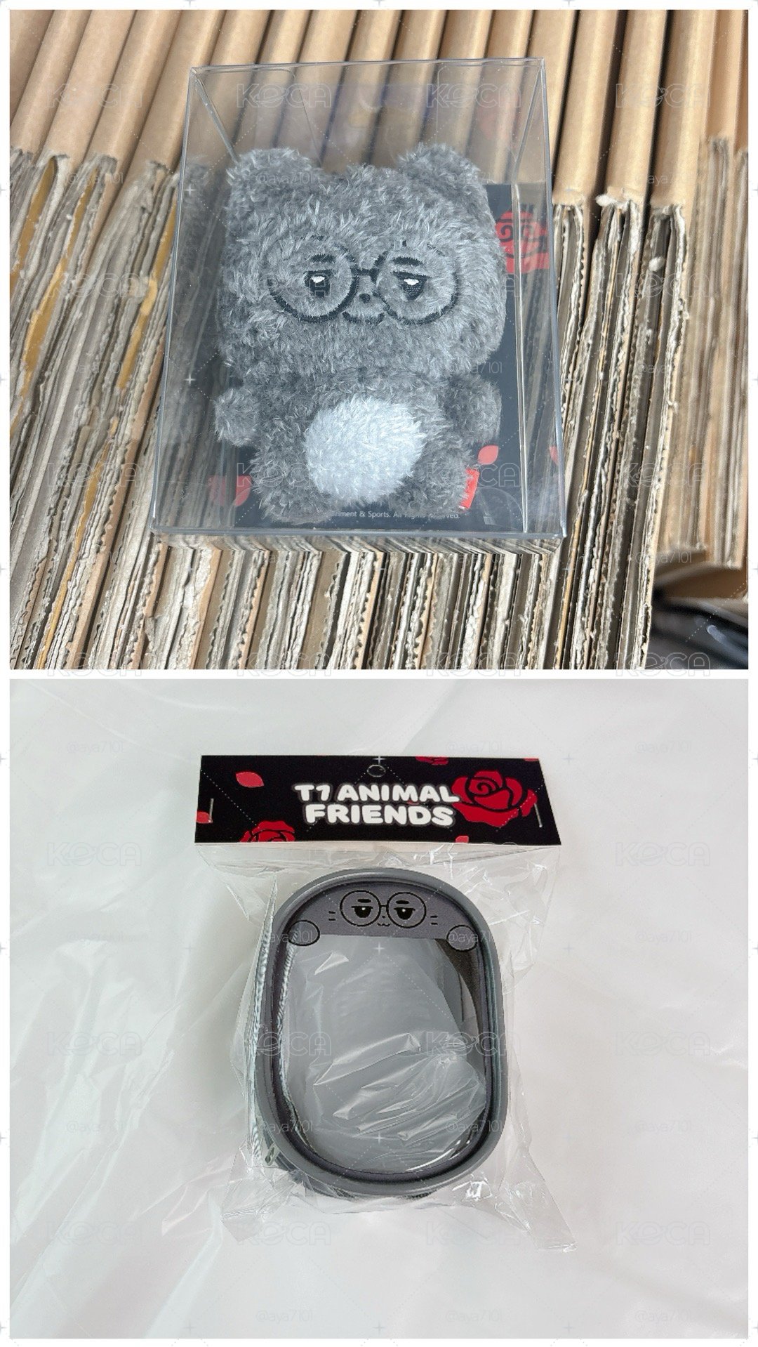 T1 2026 Animal Friends