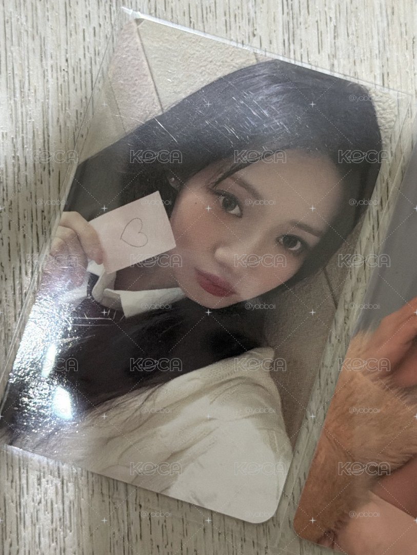 茶茶學妹