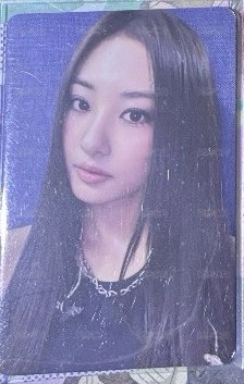 ms淑女嘉元