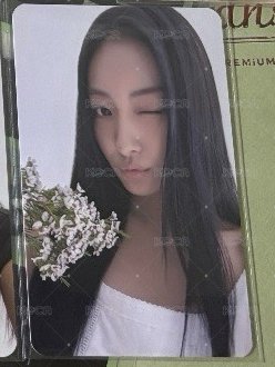 ms捧花嘉元