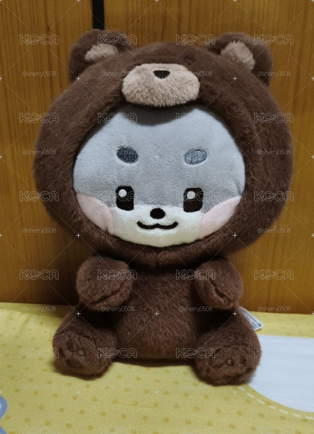 動物坐娃旭