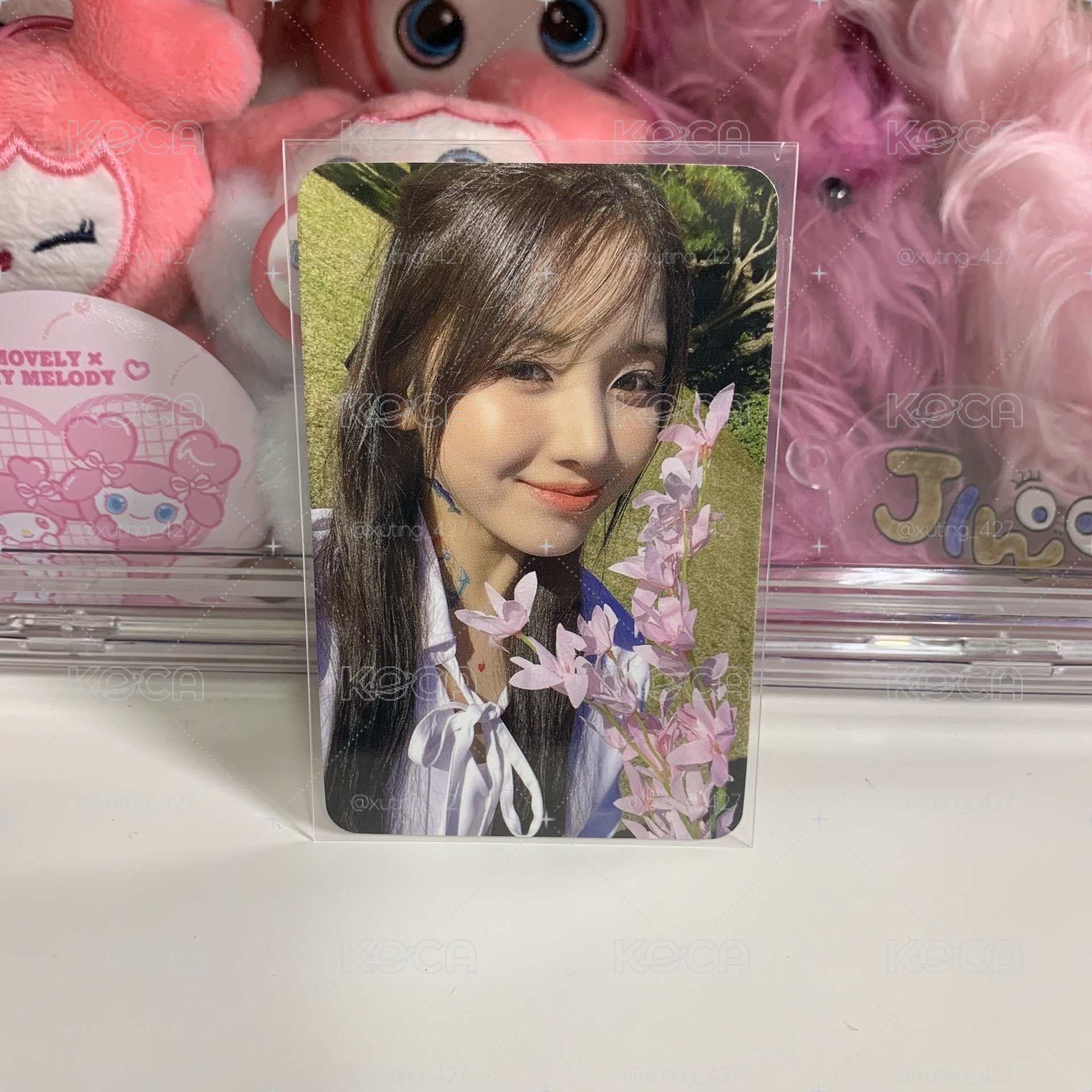 🌼捧花中背友