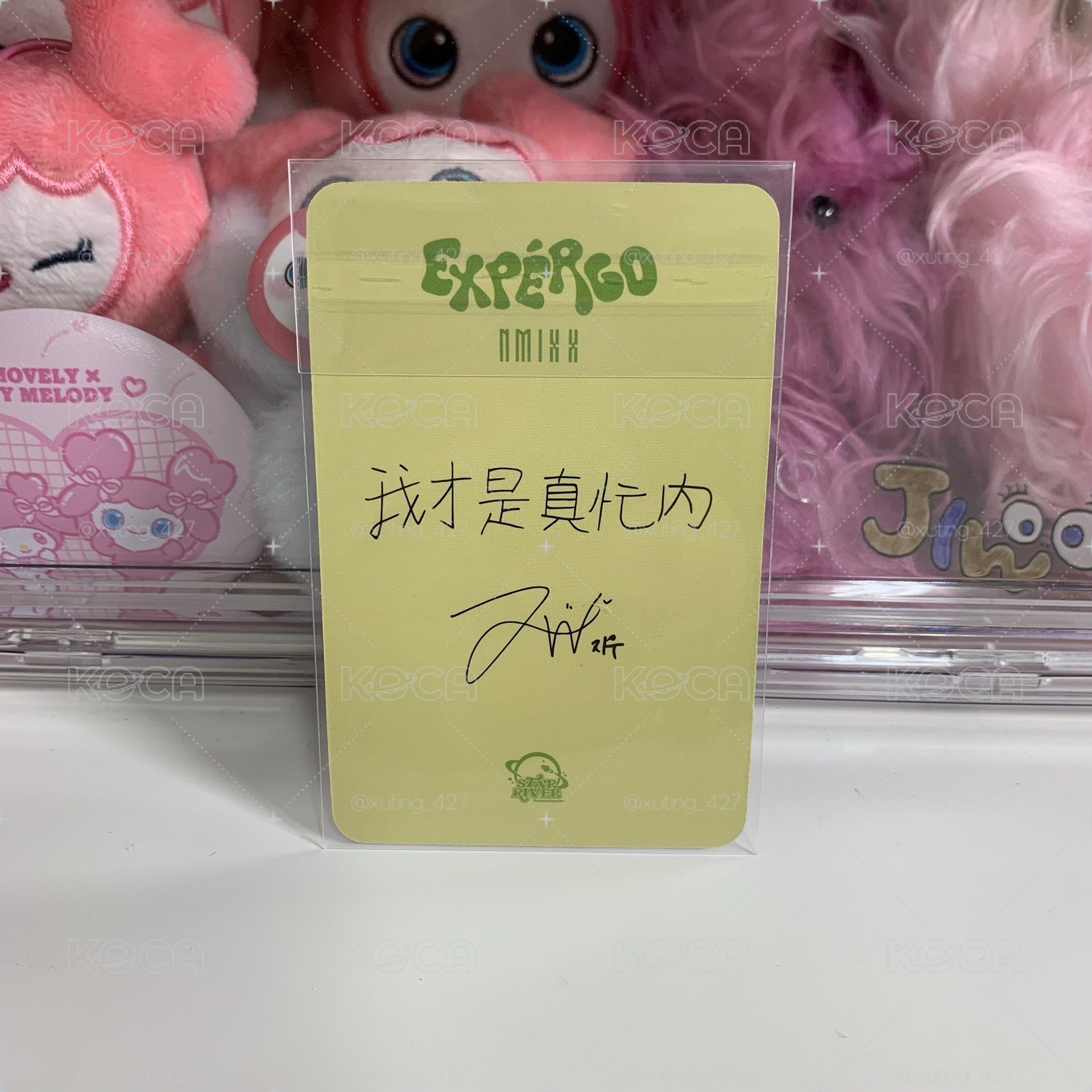 🌼捧花中背友