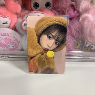 🌼卡皮巴拉雙面卡友