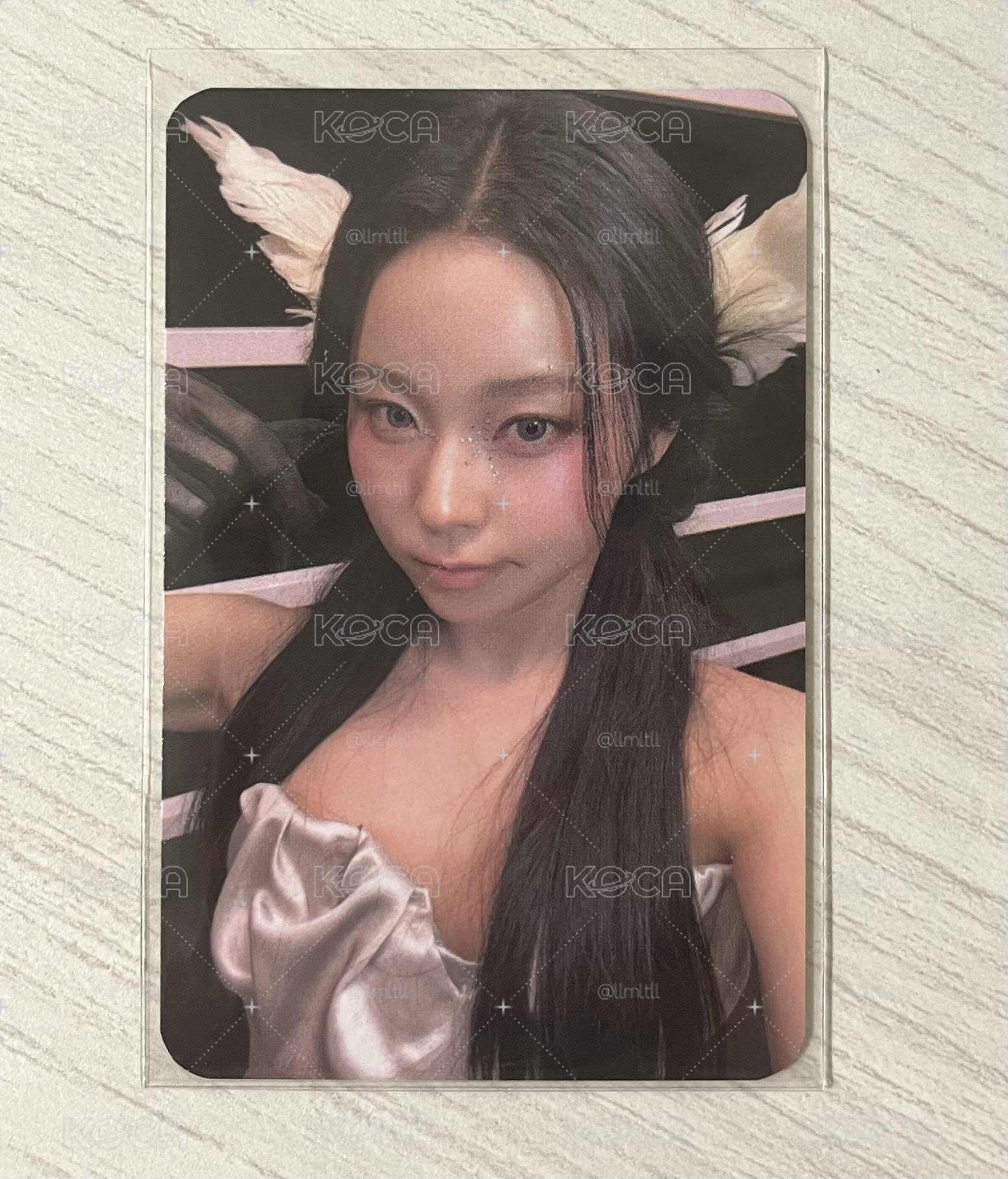 Yes24 預售 圭 比心貓貓