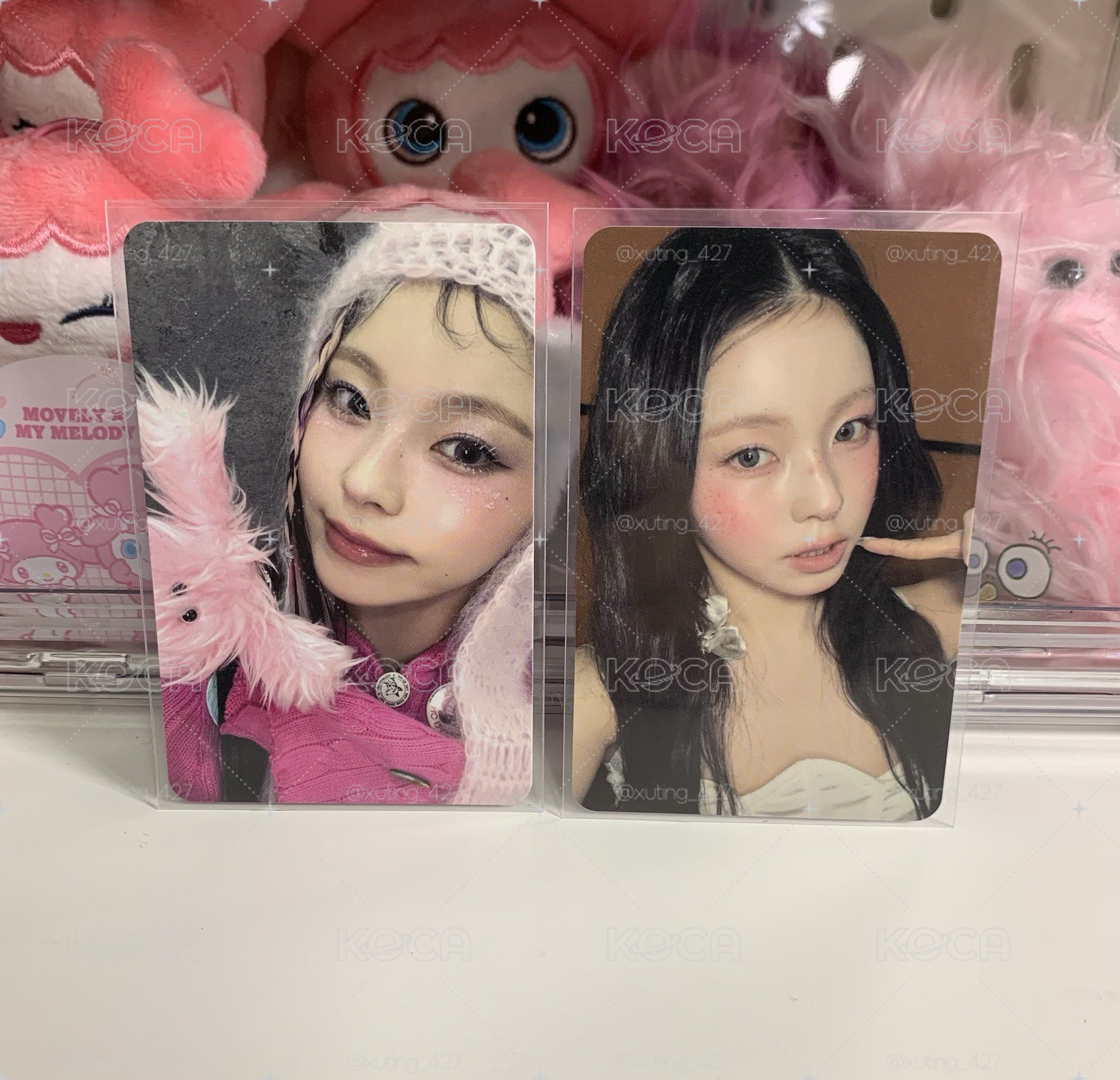 🌻圭 專卡