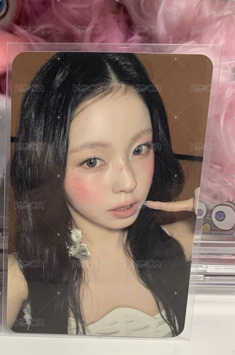 正規一專卡