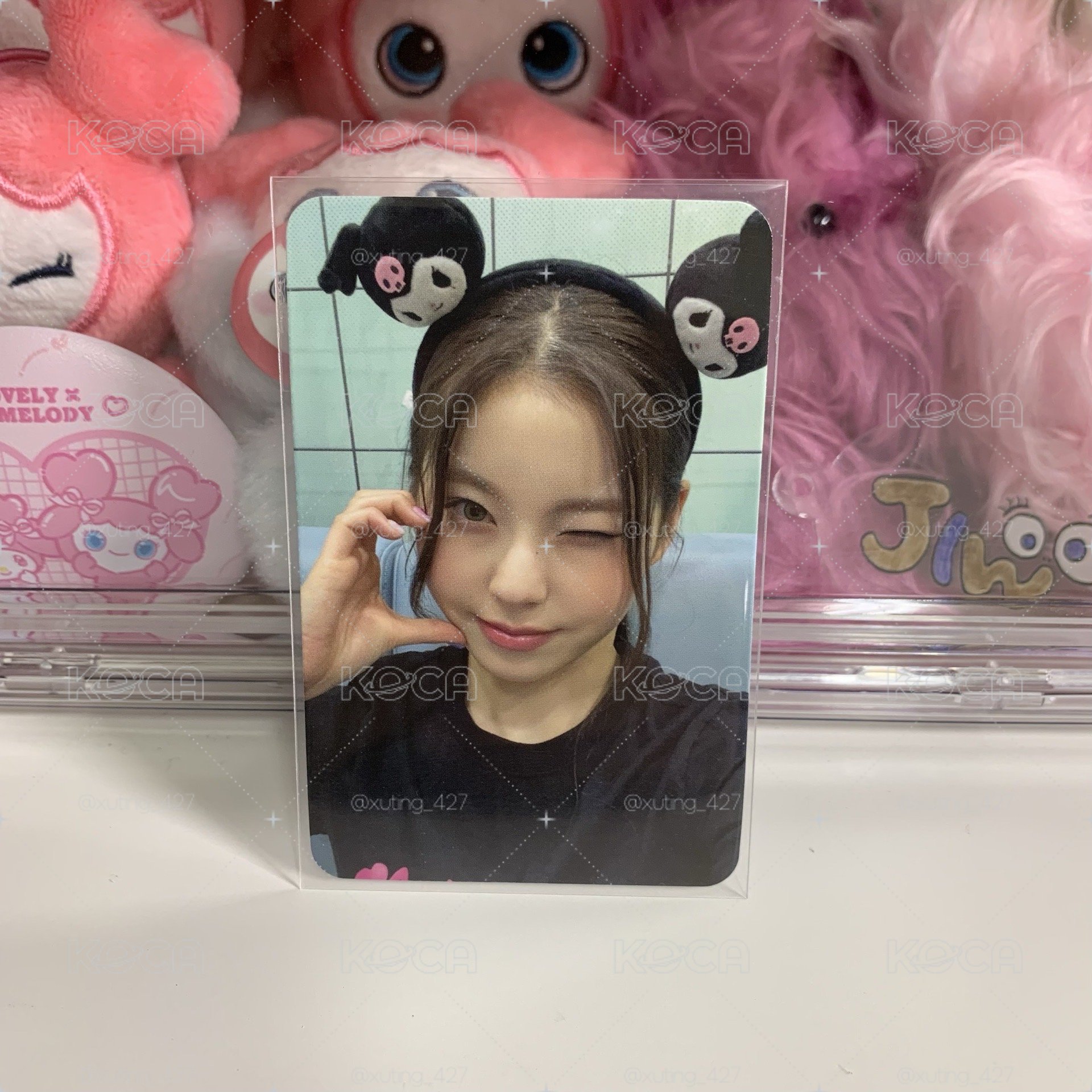 🌼三麗鷗中背圭
