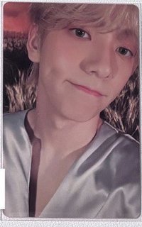 小狐狸彬