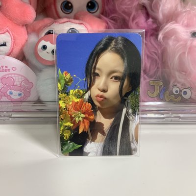 🌼捧花中背圭