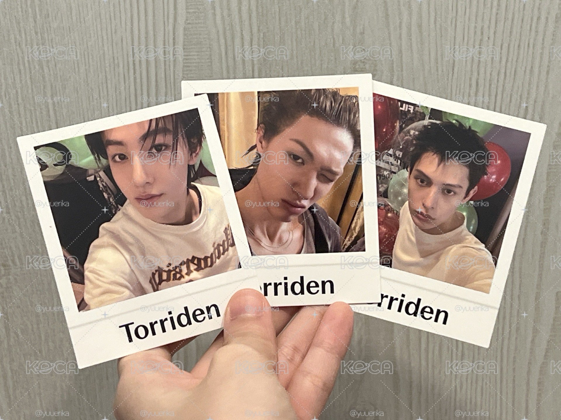 Torriden小卡 單拆/一套🈶