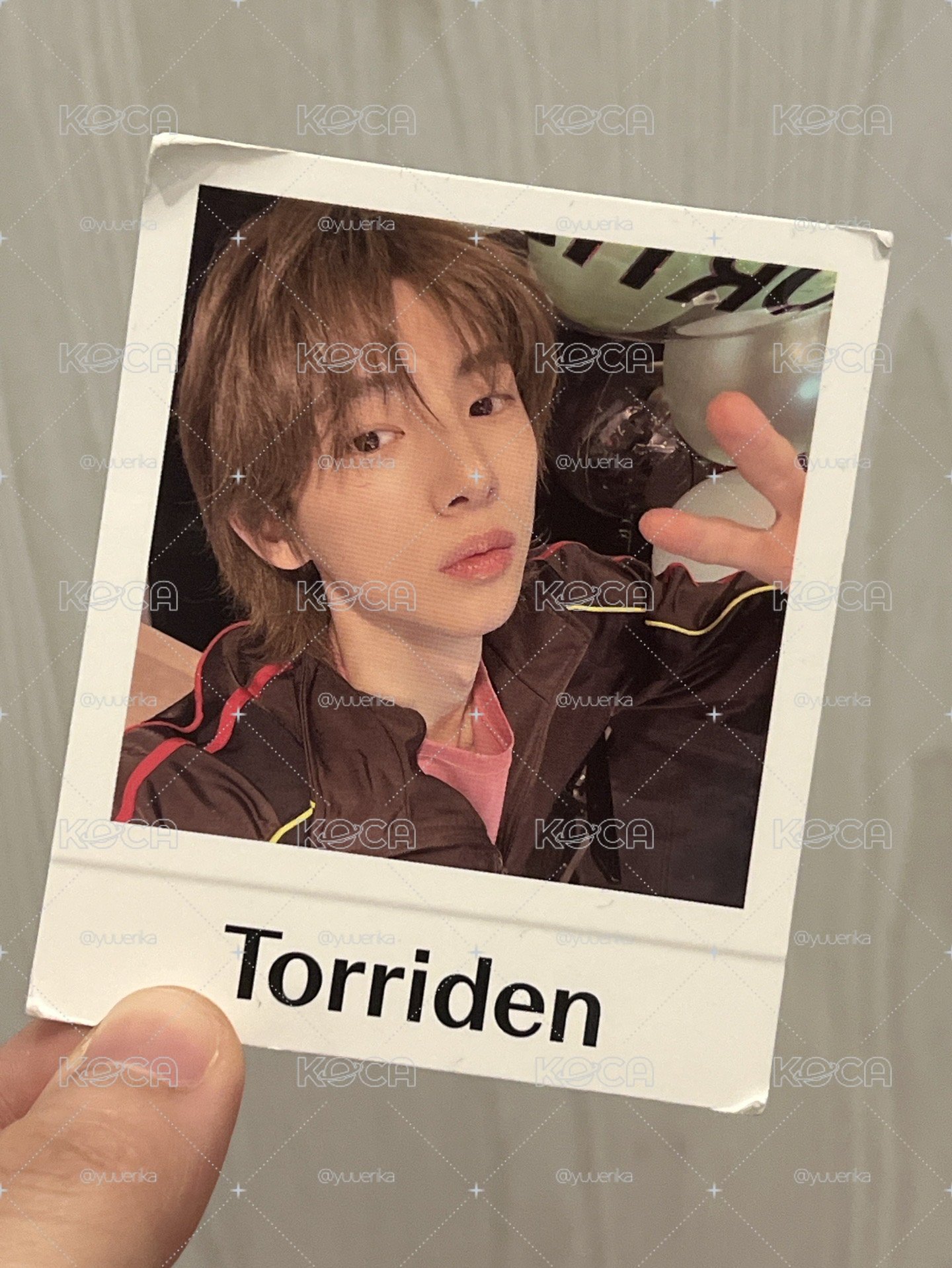 Torriden小卡現貨