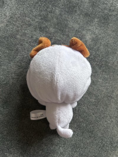 艾蓮狗娃