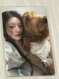 兒童公園特（有損）