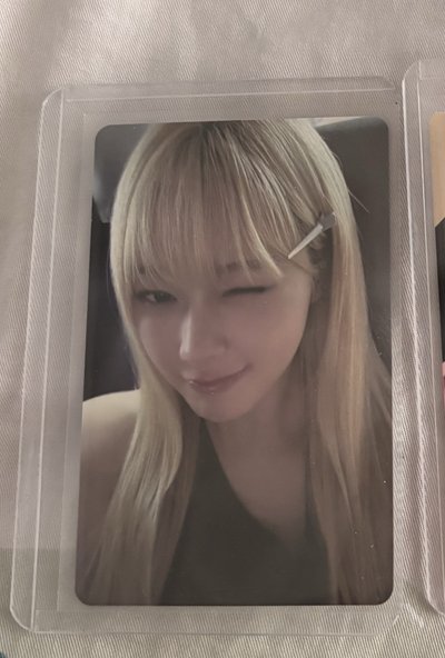 白帽梨 金髮梨