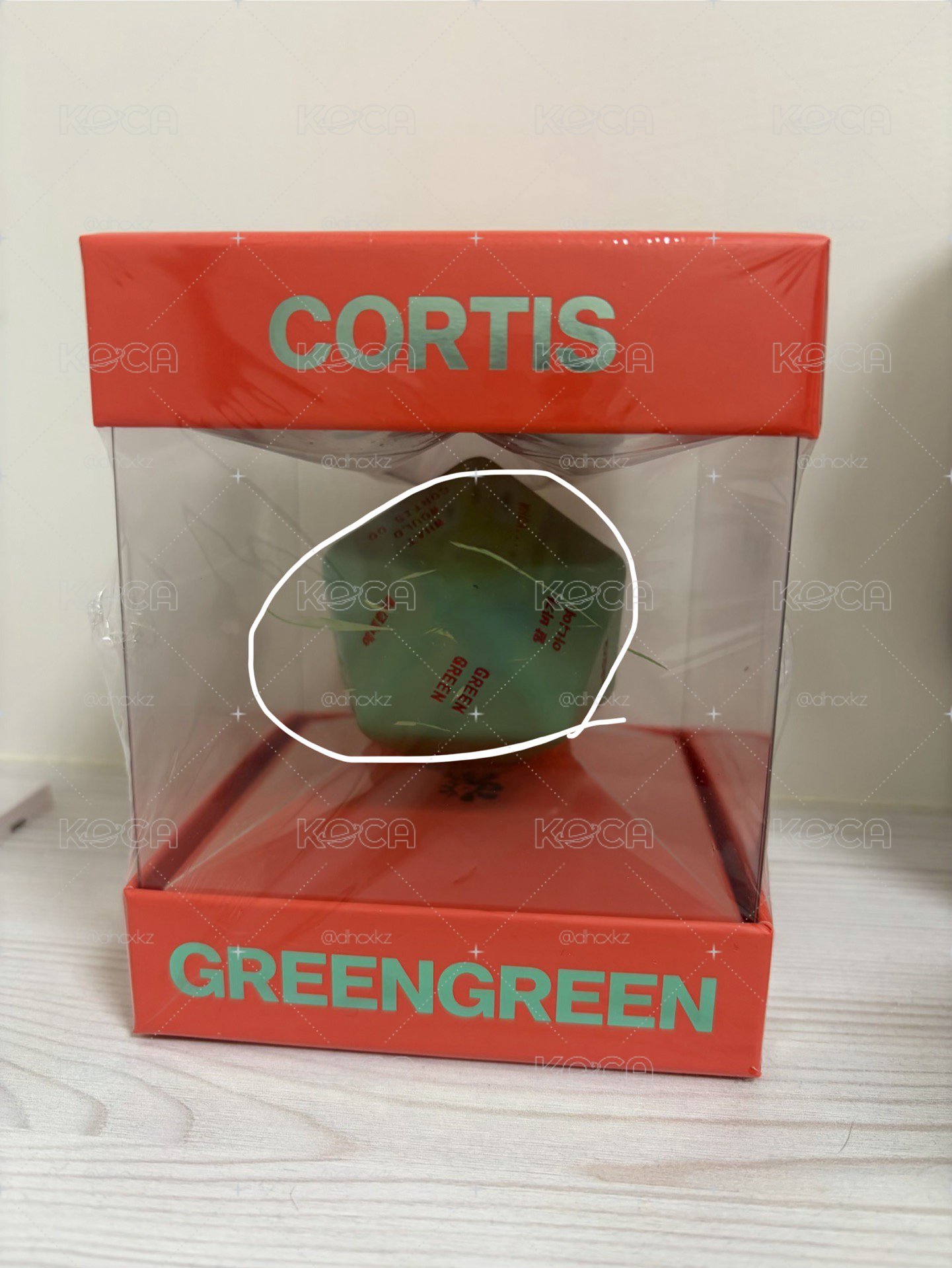 cortis全新GREENGREEN未拆專